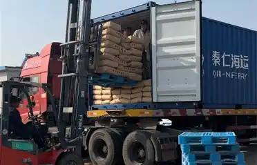Неліктен оңтүстік кореялық сатып алушылар Лулонгтан тәтті картоп крахмалын импорттайды? Tongyou картоп өнеркәсібіндегі тиеу және жөнелту процесіне шолу